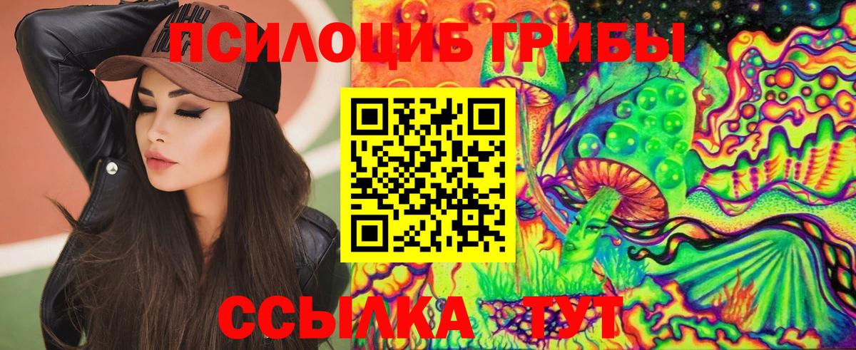 Галлюциногенные грибы Cubensis  Псилоцибиновые грибы Cubensis  Каменск-Уральский  Вход с VPN 
